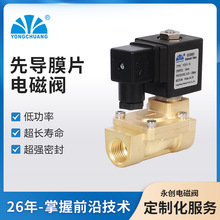 ����YCD11�߉�늴�ˮ�y �Ȍ�ĤƬʽ늴��y���]��Ĥ�y���w�y1.6MPA