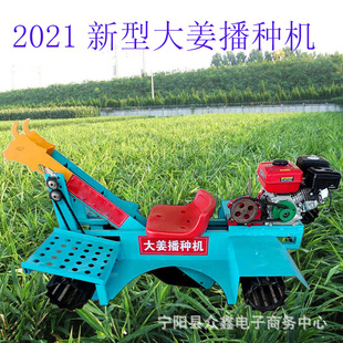 2021���ʹ󽪷Nֲ�C���{ʽ���в��N���͙C�����N���C�F؛