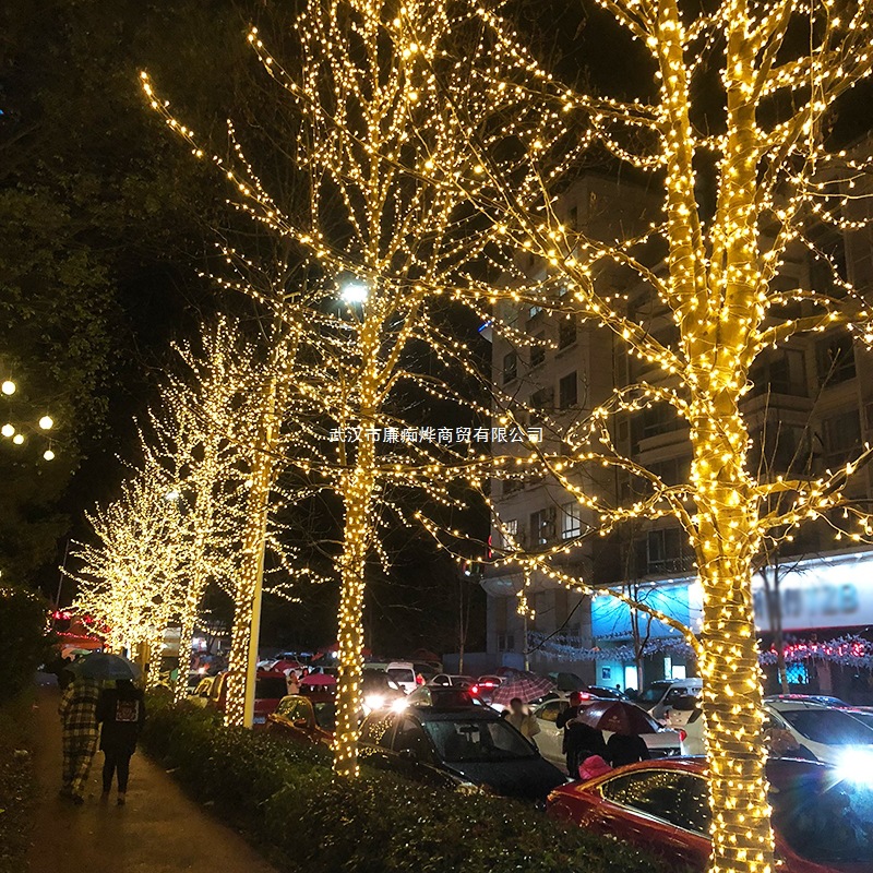 新年挂树上彩灯闪灯串满天星装饰灯户外防水太阳能夜景亮化氛围灯