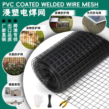 跨境专供浸塑电焊网乙烯基涂层热镀锌钢丝网家禽养殖网包塑铁丝网