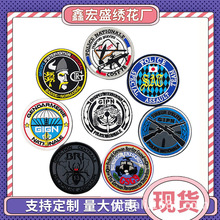 �����طNϵ�Б��g�̽����� ñ���N���ձ�SAT��GSG9�طNʿ�����