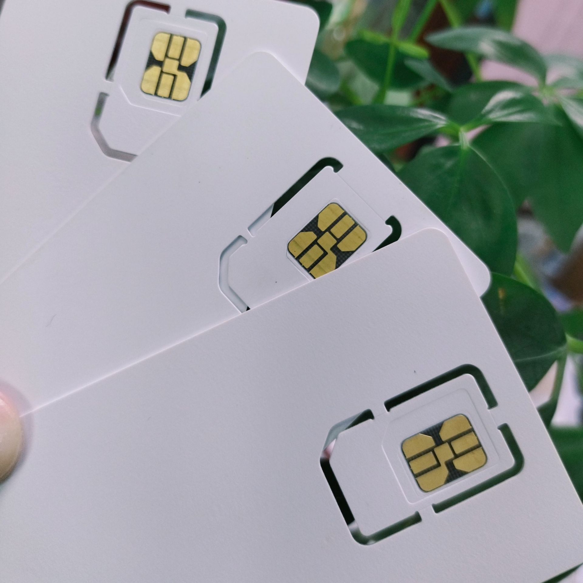 ���ڹ���רҵ���� �����ֻ����԰׿� NFC���Կ� ��Ŀר��ר��