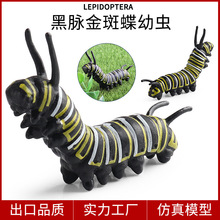 ��ͯ�����J֪���Ą������xģ����ߺ��}��ߵ����xëë�x�����̾�