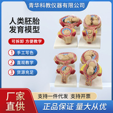 ���A������̥ģ���ЋD�WУ��̥Ӌ������ģ��̥���l���^�̽���ģ��