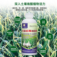 大蒜返青抽苔叶面肥增高产防黄叶专用种植胖大蒜薹粗早熟水溶肥