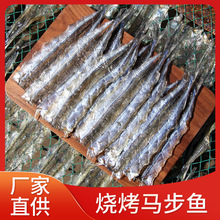 厂家直供海鲜干货烧烤生鱼干多规格棒棒鱼多味鱼针鱼干马步鱼干