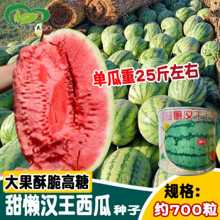 ��̳���Нh��F1���ϷN��  �r��ˈ@���N�������ز�������������