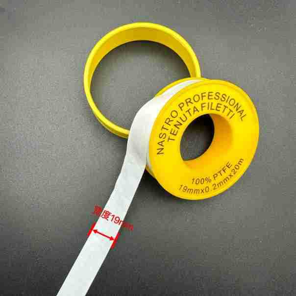 WM19102074黄芯黄壳 (2).jpg