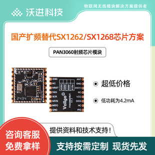 Domestic Pan3060 Long-Distance Low-Power Replacement Sx1262/1268/1278 Wireless Communication Module