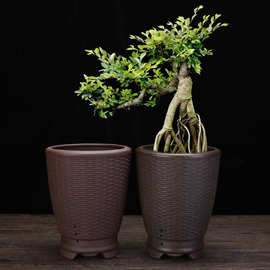 紫砂花盆创意陶瓷桌面多肉植物盆景盆竹子菖蒲盆园艺花卉绿植批发