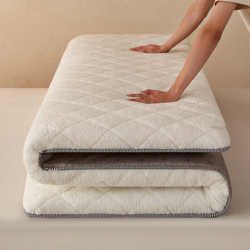 Cross-Border Mattress Soft Cushion for Home Use, New Lamb Wool Mat, Milk Velvet Dormitory Mattress, Autumn and Winter Mattress, Special for Rental Housing