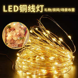 led铜线灯带小彩灯波波球电池盒铜丝灯串圣诞节日花束USB装饰灯串