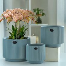 �����մ��¿�ⱱ�W���s�ش�̖���бP����Gֲ�����҃�����