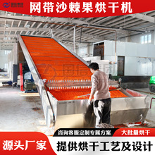 大型沙棘果烘干机 网带沙棘叶干燥设备 全自动沙棘药材烘干生产线
