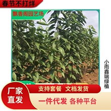 �Ї��������ϱ���ͥԺ���ԷNֲ����Ҙ��̨���Լ޽Ӱ�������Y��