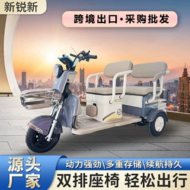 电动三轮车;其他电动车