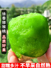 �����������J�������r���]�����������ˮ���ЋD���ھG���殐��