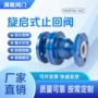 定制旋启式耐酸碱腐蚀止回阀