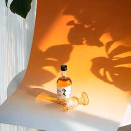 摄影渐变背景纸双面拍摄拍照道具背景板蓝白静物产品不反光背景布