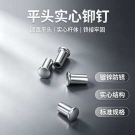 温州厂家直销 半空心铆钉 非标铆钉 做工精细 质量保证 新品钜惠