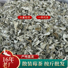 �Ǐ��ҽ�ݮ�� Ұ���ٲ����~ ����ѩ�� ��Ϫ�S�� �R�Ͳ� ���R��