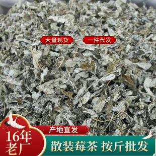 �Ǐ��ҽ�ݮ�� Ұ���ٲ����~ ����ѩ�� ��Ϫ�S�� �R�Ͳ� ���R��