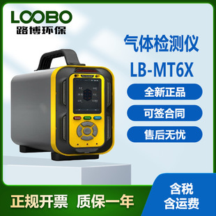 LB-MT6X有毒有害气体的分析仪 手提款多合一 多参数气体检测仪LB-