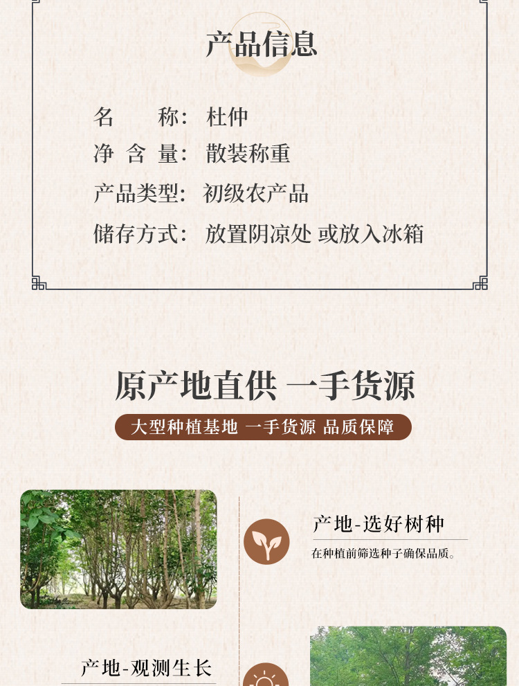 Dried Eucommia Bark Slices Du Zhong 杜仲 TCM Herbal Decoction Pieces for Wine Infusion and Soup 500g quality and texture