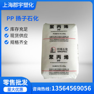 Pp Yangzi Petrochemical Pp-R Ppr-M00 (Ypr-503) Hot Water Pipe Cold Water Pipe Extrusion Pipe Material R503