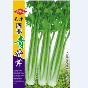 ��ꖹ��߲˷N������ļ��������Ο����L�����w�S�ٻ�����@ͥԺ