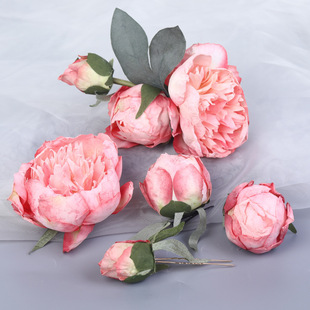 � C���ͮ�ĵ�������^����l�O�h���l����L�����l�A���b���Ů