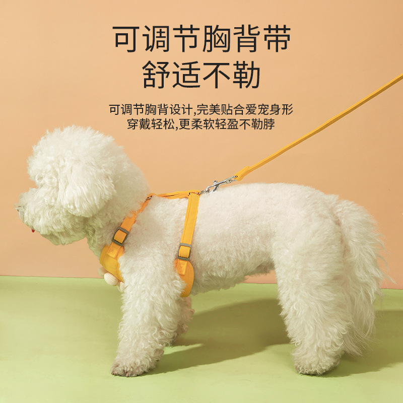 Mascotas fuera, pequeña margarita, correa bordada, chaleco de encaje, perro, gato, correa en el pecho, perro pequeño, espalda en el pecho, transfronterizo
