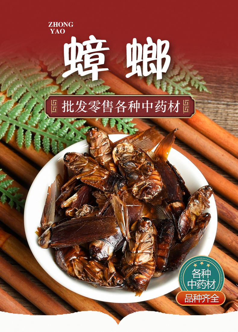 Fei Lian (Blatta orientalis) Dried Medicinal Insect — Traditional Chinese Herbal Material overview