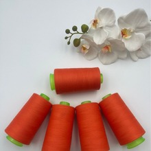 �S��؛Դ603�p�x�� ������ ���ٜ�]��  ƽ܇���F؛�����ɾ�