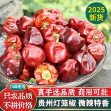 ������������C���\�����������r����F��΢���������콷���x��