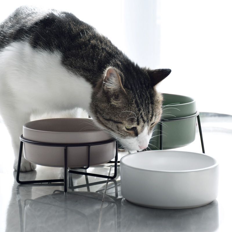 猫碗猫咪陶瓷碗狗狗水碗双碗碗架保护颈椎宠物猫粮碗猫食盆防打翻|undefined