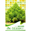 Caper seeds, cauliflower seed seeds, vegetable seeds wholesale vegetable seeds seeds seeds