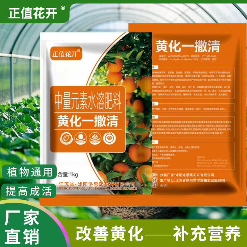 黄化一撒清果樹黄花撤去専用薬除去微量元素水溶肥改善葉黄化転緑霊|undefined