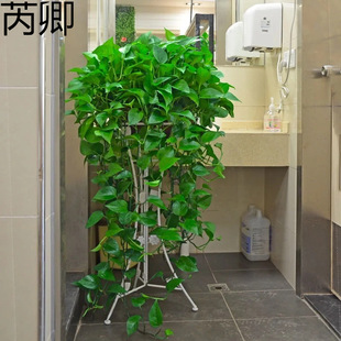 ����G�}�L�ّҒ�Gֲ�k���҃ȴ��~�G�jˮ�໨�ܺ��B�����L�lֲ��