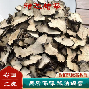 �i����ș�� �����F؛���l������Ʒ�i�߷۴����F؛�a��؛Դ �i����