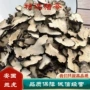 产地大量正品猪苓
