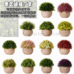 ����Gֲ���Դ��u���N�A�����辰�羳��̏S�����lֱ�N�Ҿ�С�[��