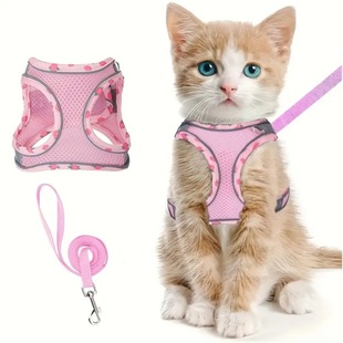 �羳͸��W�������ر�������ʽ���������K���⹷�K�Ӵ���Ȯ��s