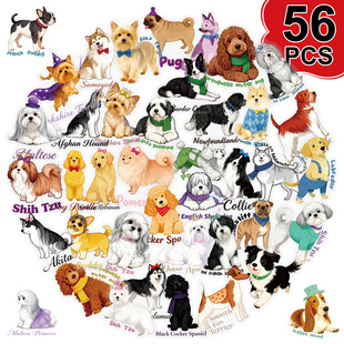 56�����R�d�羳�ɐۿ�ͨ�����N����ϵ����۹�����PET͸���N��