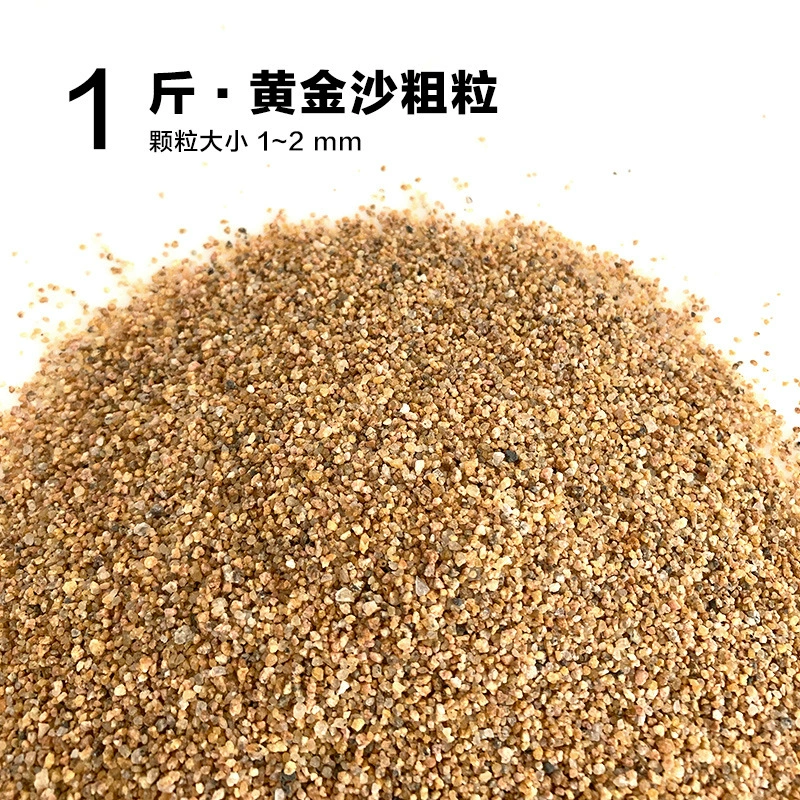 楸肩几搴曠爞閫犳櫙搴曟矙涔岄緹娌虫矙鍖栧