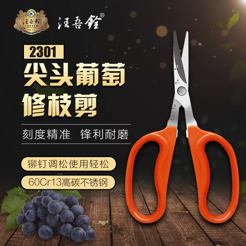 Wang Wukuan Scissors: Grape Repair Scissors, Specialized Grape Cutting Shears, Thin Fruit Shears, Vegetable Fruit Shears, Fruit Picking Shears, Bump Head Scissors, Curved Head Scissors