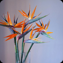 ߶˷BܛzPVC| Ƶ߼͏d[Żˇb滨