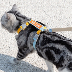 猫の牽引縄専用の四季の猫が猫のロープを散歩しています。