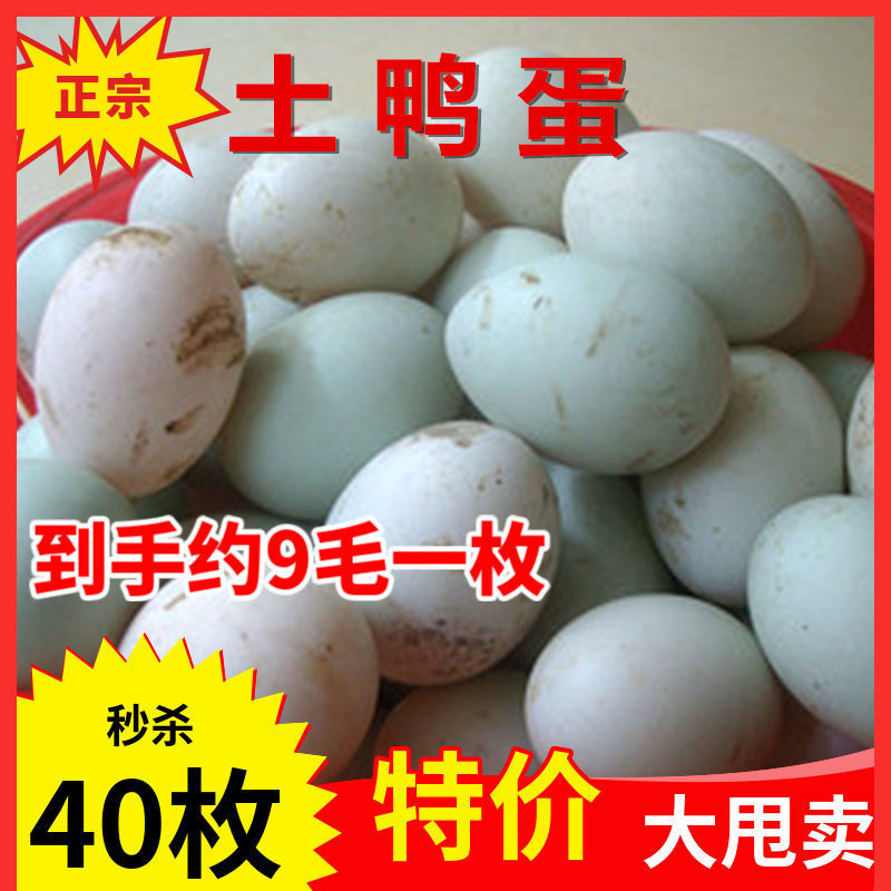 Orthodox school Farm Backyard fresh Duck&#39;s egg Duck&#39;s egg Duck egg wholesale Farm The lake Stocking 30-50 Gold