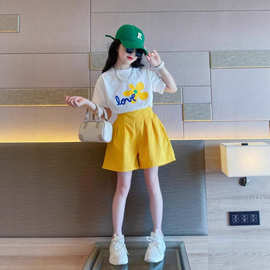 女童夏季套装韩版洋气时髦童装小女孩夏装短袖短裤儿童运动两件套